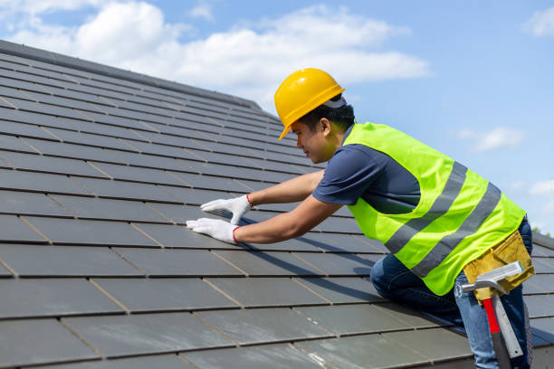 Best Roof Gutter Cleaning  in Lone Tree, IA
