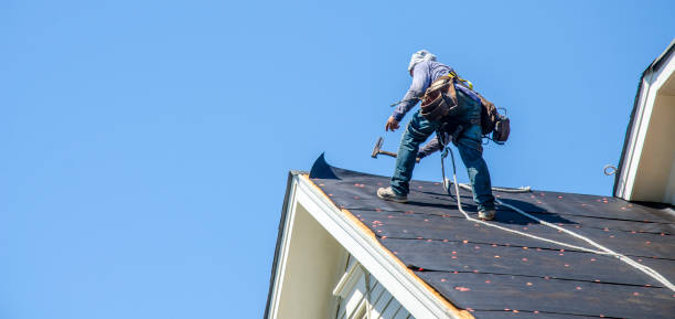 Roof Gutter Cleaning in Lone Tree, IA